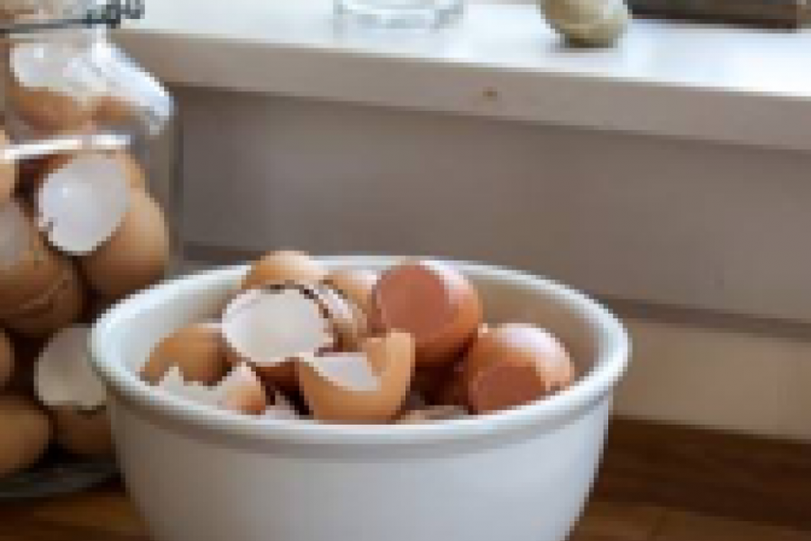 Nikako ne bacajte ljuske od jaja: Ubacite ih u jabukovo sirće, evo šta će se desiti