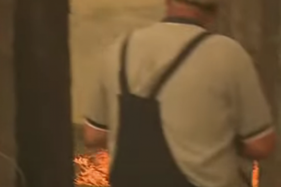 SEVERNA MAKEDONIJA U PLAMENU DANIMA: Ne jenjavaju požari, 350 ljudi na terenu (VIDEO)