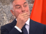 KROKODIL JE MNOGO NERVOZAN! Nacionalist: "Milo na kraju karijere počeo da guta samog sebe"