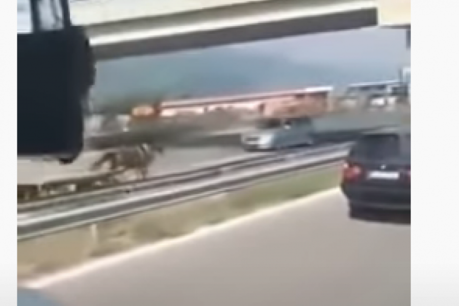 I TO U SUPROTNOJ TRACI: On je bio ŠOK za vozače iz Severne Makedonije (VIDEO)