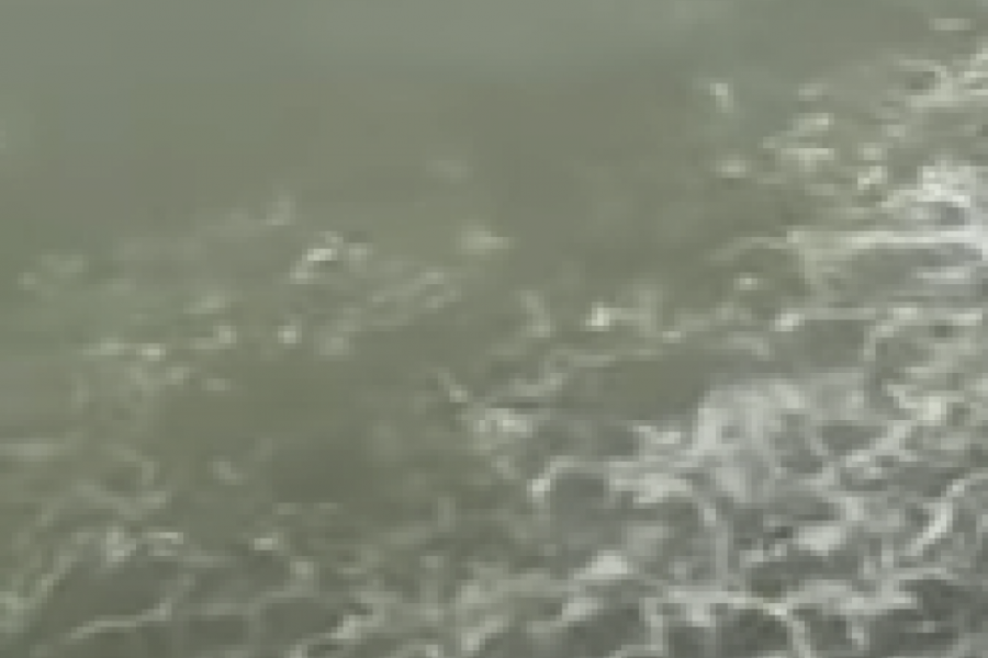 STRAVIČAN PRIZOR Šta se dešava sa Jadranskim morem? (VIDEO)