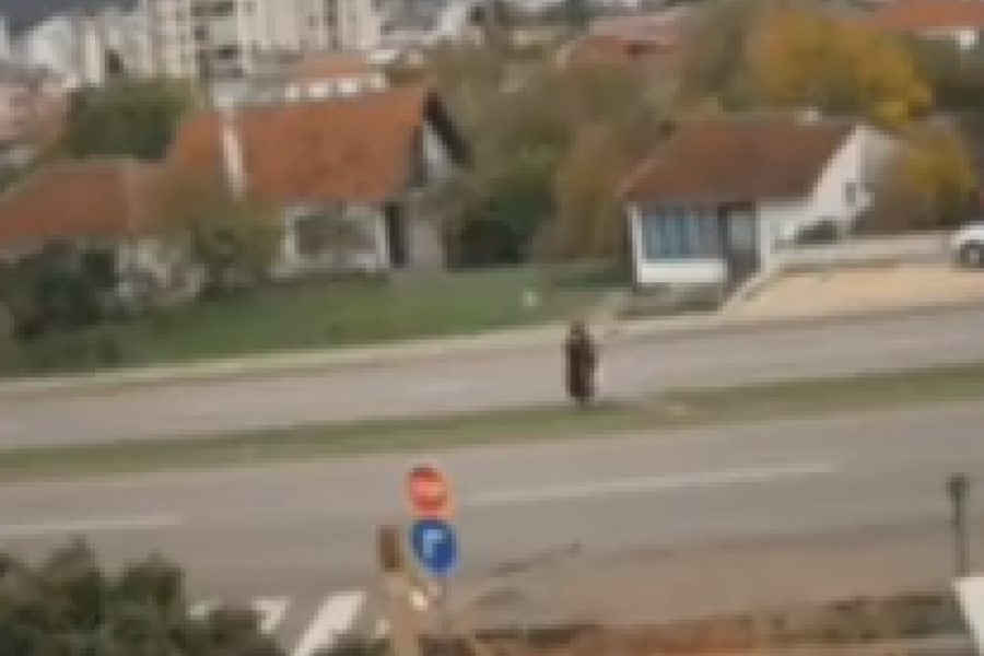 (UZNEMIRUJUĆI VIDEO) TEŠKA SAOBRAĆAJNA NESREĆA  U BARU Majku Vladimira Leposavića udario motociklista