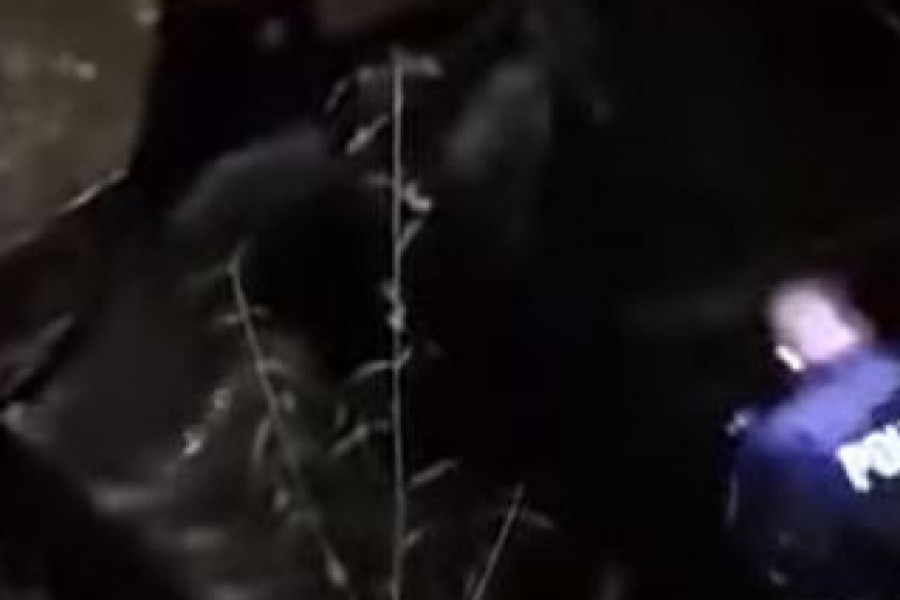 JEZIVE SCENE NA HRVATSKOJ GRANICI: Policajci spasili ženu iz nabujale reke, dete nestalo u bujuci? (VIDEO)