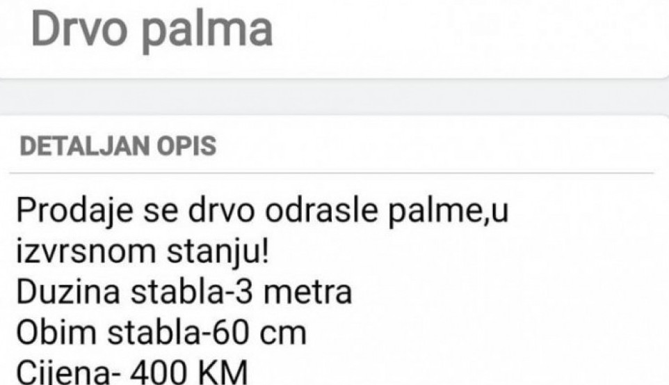 NE MOŽE BIZARNIJE U Mostaru pokušali da iščupaju palmu i da je prodaju za 400 km!