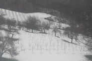 DOLAZI LI ZIMA PRERANO? Sneg u Hrvatskoj i Sloveniji, zabelelo se i u Austriji (FOTO)