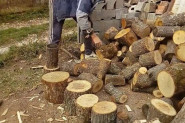 OVO SE NIJE DESILO DO SADA: Na CG primorju metar drva košta PAPRENO!