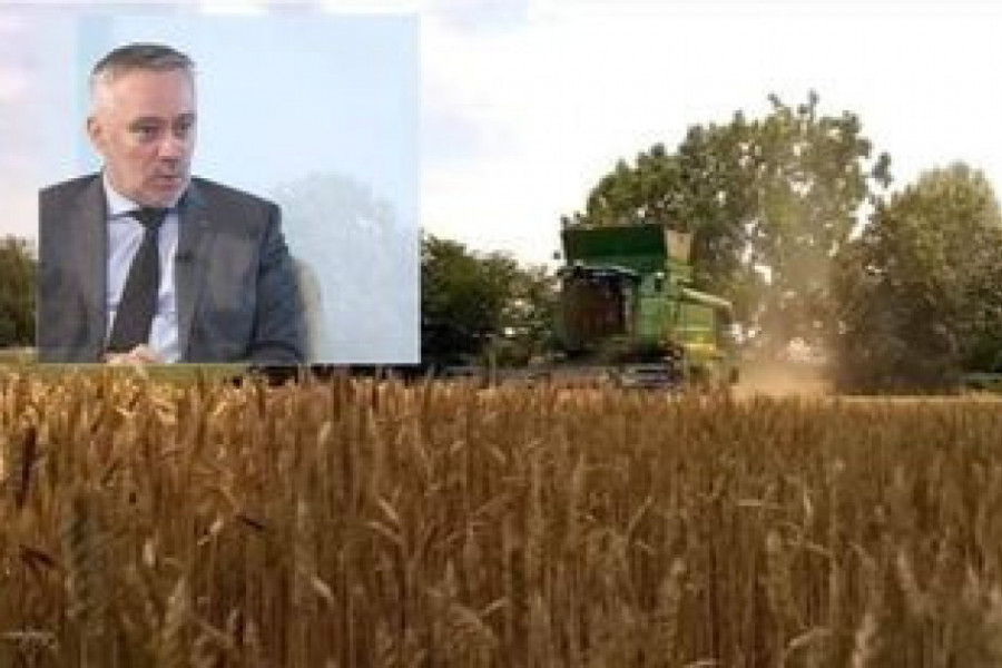 PAŠALIĆ: Za proizvođače pšenice 500 KM po hektaru