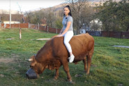 Emina vozi traktor, trenira volove a još ide u školu (VIDEO)