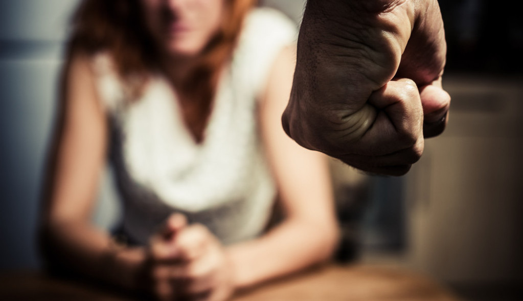 Baraninu zadržavanje do 72 časa zbog nasilja u porodici