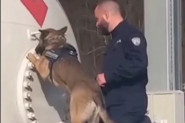 KERUŠA REA OTKRILA POLA TONE MARIHUANE: Snimak sa granice Srbije i CG koji će vas zapanjiti (VIDEO)